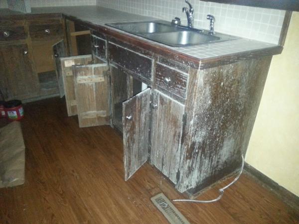 At Ease Home / Environmental Inspections LLC