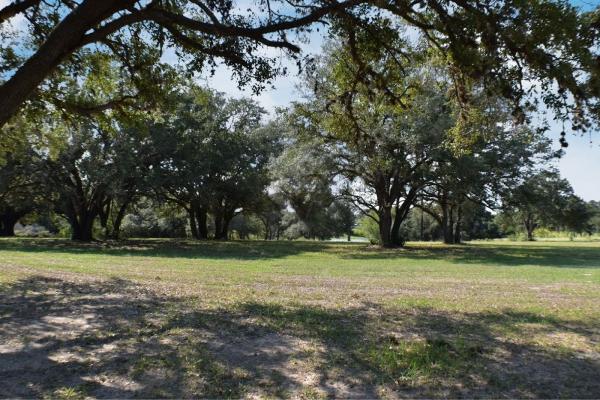 Texas Premier Ranch Sales