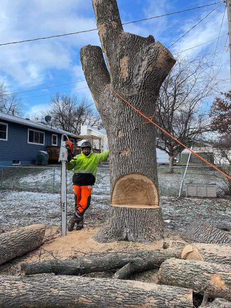 Middle River Tree Service