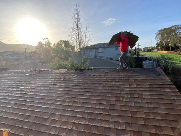 Besty Solar Inc.