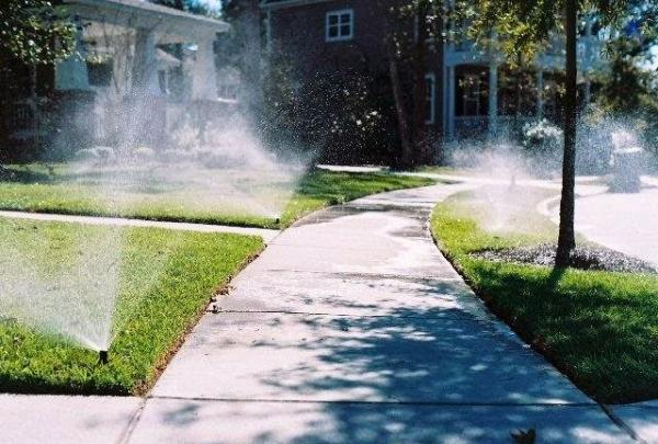 Earthfriendly Landscapes