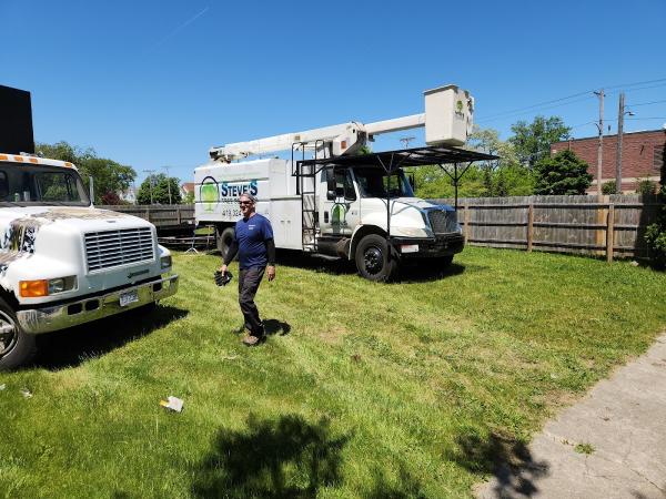 Steve's Tree Services