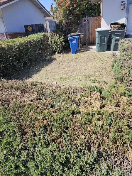 Areas Verde Landscape Service Lnc.