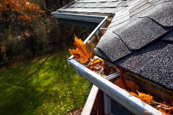 Good Guys Gutters and Drains