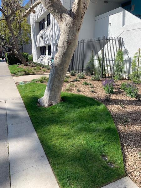 Grow Control Landscape