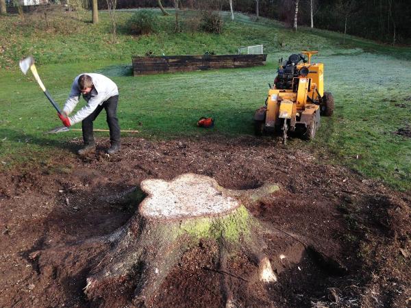 Sam Rantz's Stump Grinding
