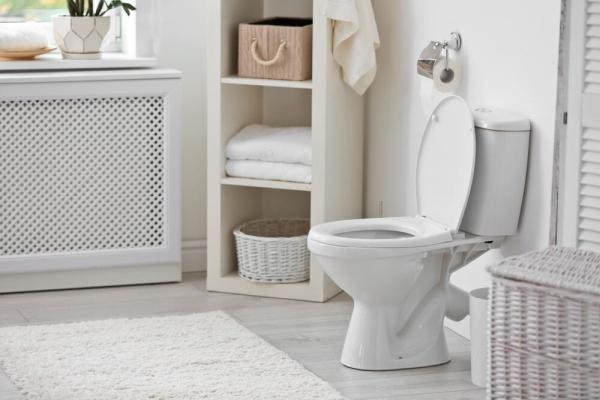 Super Rooter Plumbing & Leak Detection