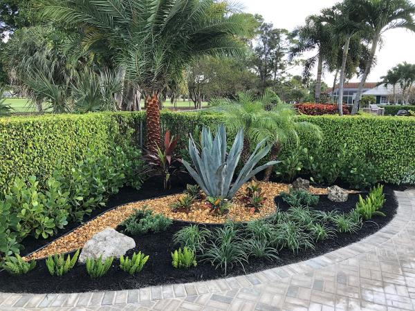 Lavinscape Trees & Landscaping