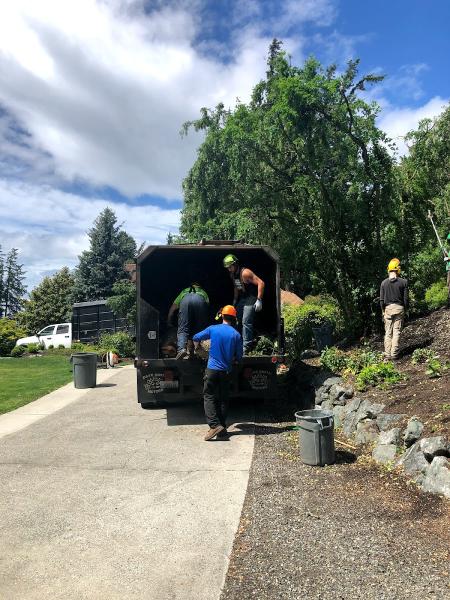 Rawls Tree Service