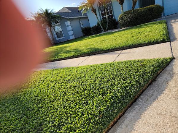 Liquid Lawn