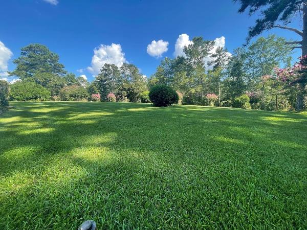 Liquid Lawn