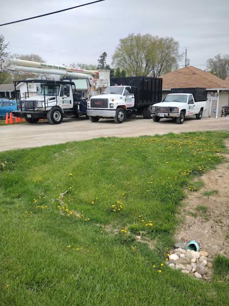 State Line Tree Service