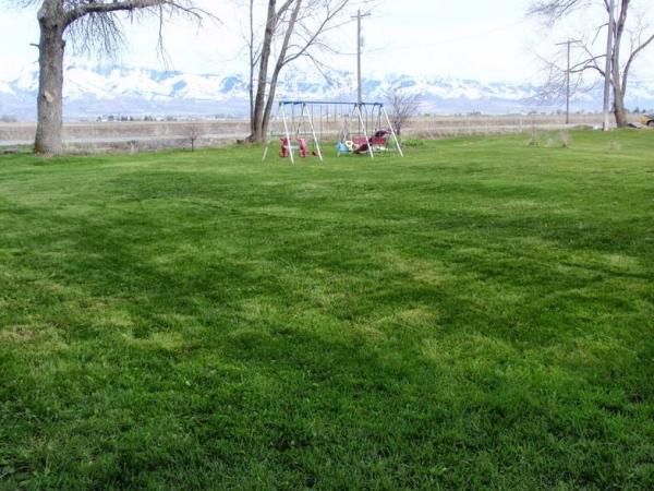 Gold Edition Lawn Care