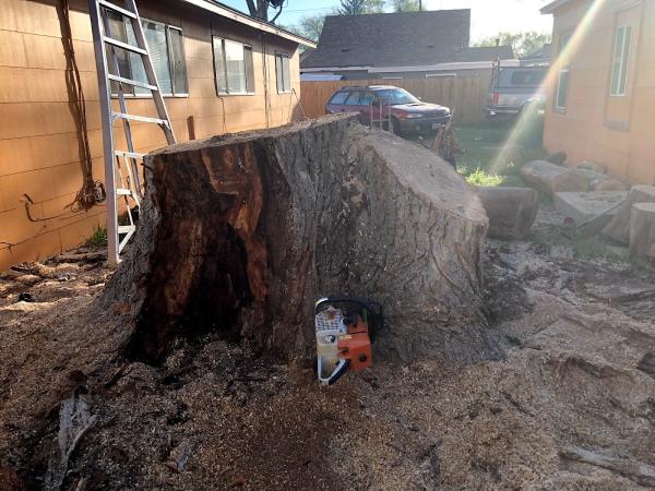 Expert Tree and Yard Service