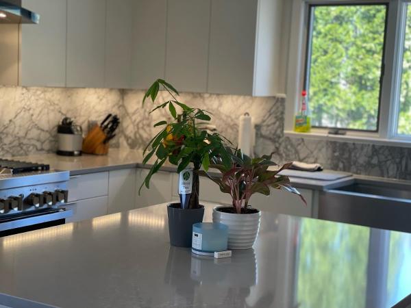 New Level Cleaning Service