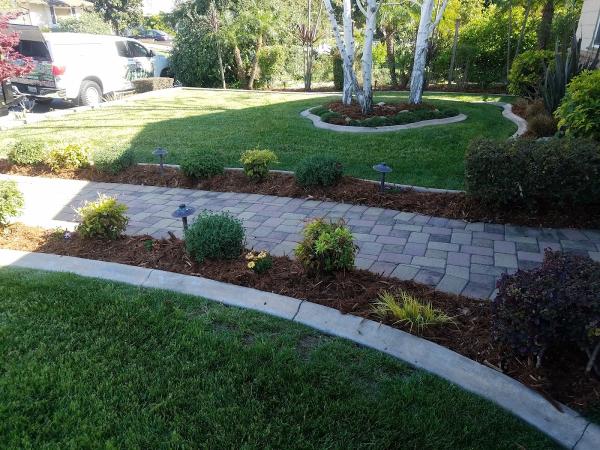 Damian Landscaping