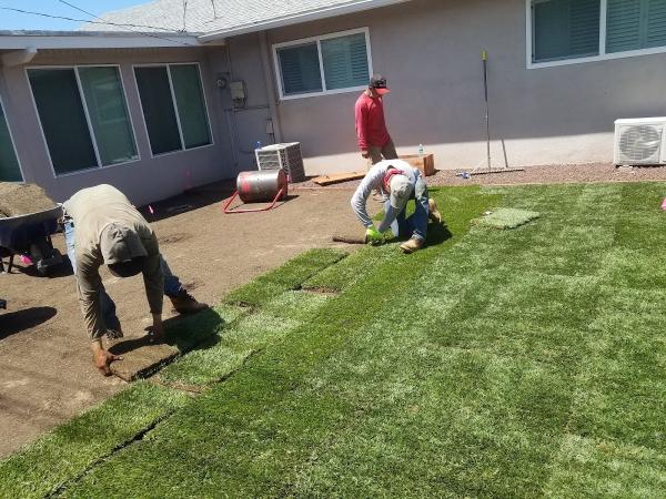 Damian Landscaping