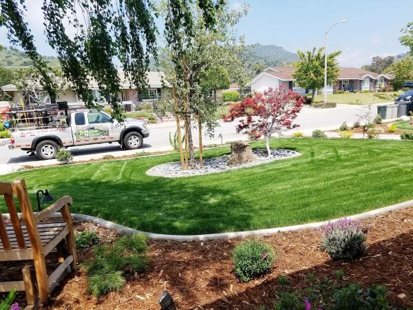 Damian Landscaping