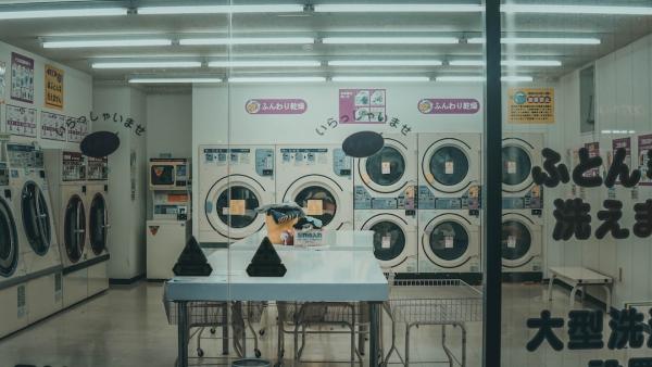 Mr Ed's Dryer Repair Service Albuquerque