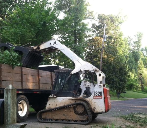 Southeastern Tree and Debris