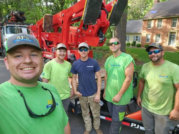 Aj's Tree Service