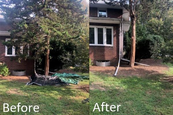 Elite Pro Lawns