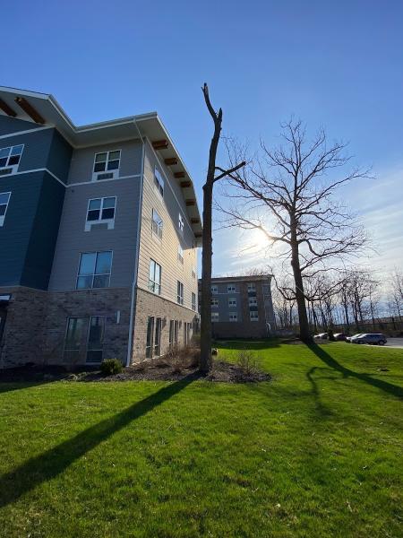 R&T Tree Experts