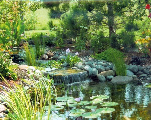 Steve's Elk River Nursery