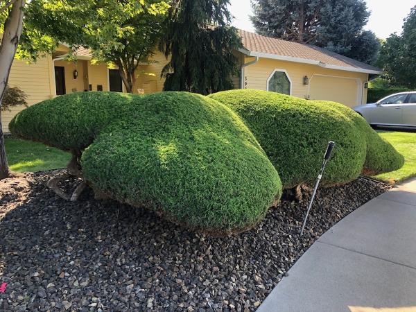 Tri-Cities Lawn Service