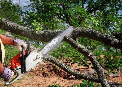 Dujets Tree Experts Inc.
