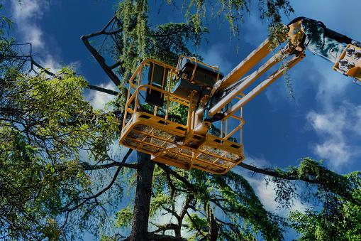 Dujets Tree Experts Inc.