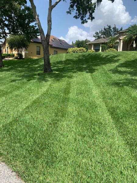 Pegasus Premier Lawn Care