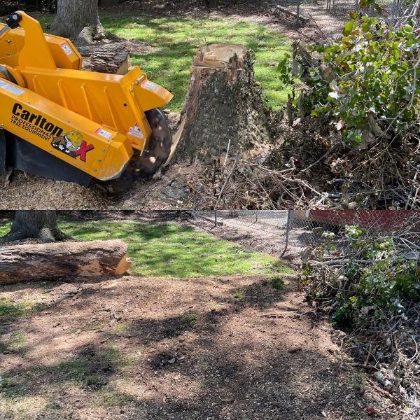 TSR Tree & Stump Service