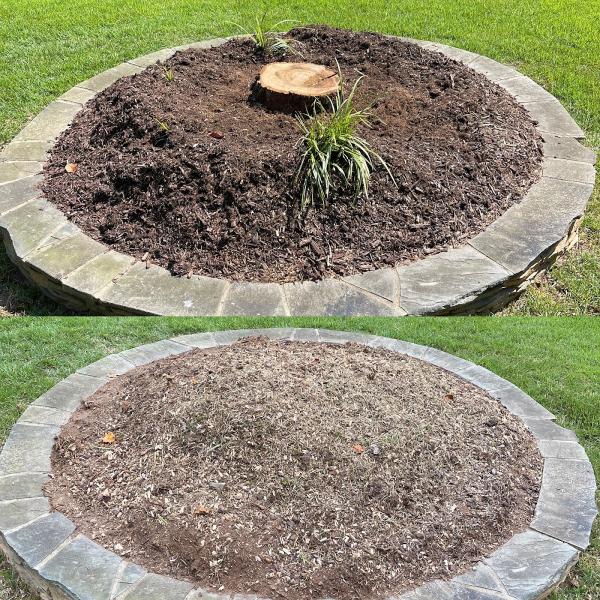TSR Tree & Stump Service