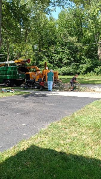 Metro Detroit Tree Service