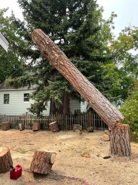 A&L Tree Service