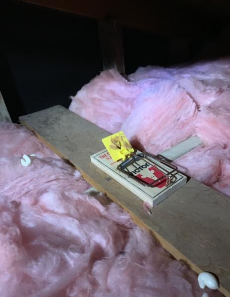 Titan Insulation