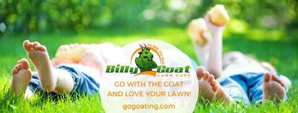 Billy Goat Lawn Care