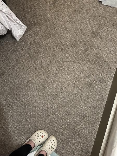 National Carpet and Steam