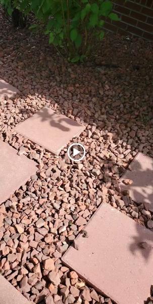 Babylon Gardens & Landscaping