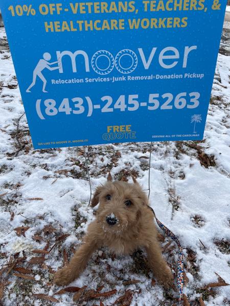 Moover Relocation and Junk Removal