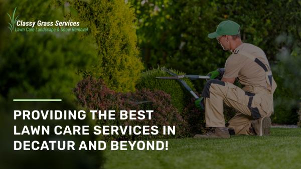 Classy Grass Lawn Care