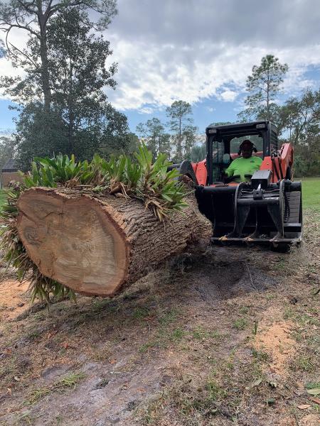 Trees For the Fallen