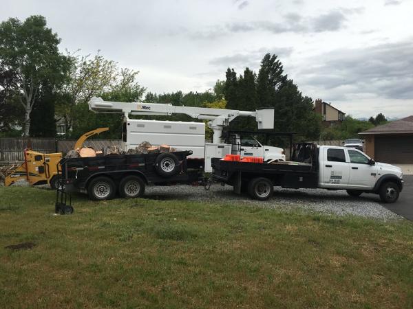 Hidden Oak Tree Care