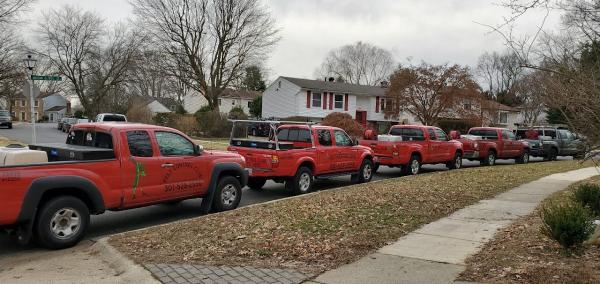 Pest Control Club