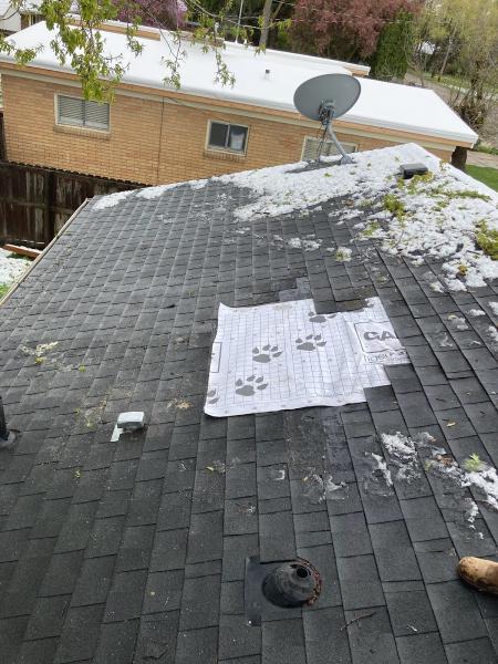 Boise Roof