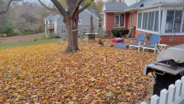 Mareks Landscaping and Lawn Service