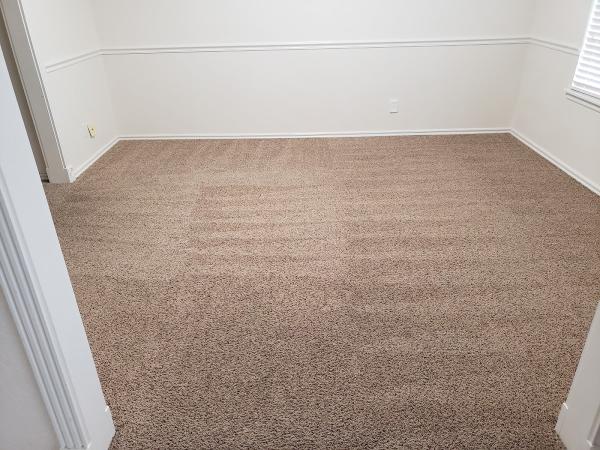 Complete Carpet