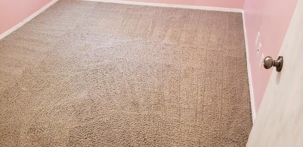 Complete Carpet