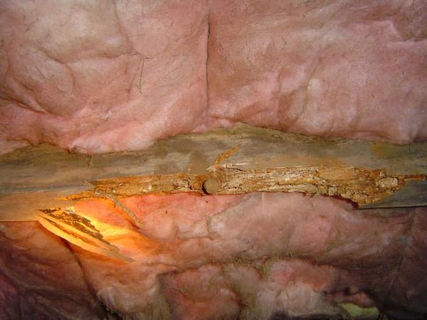 Ultrasound Home Inspections